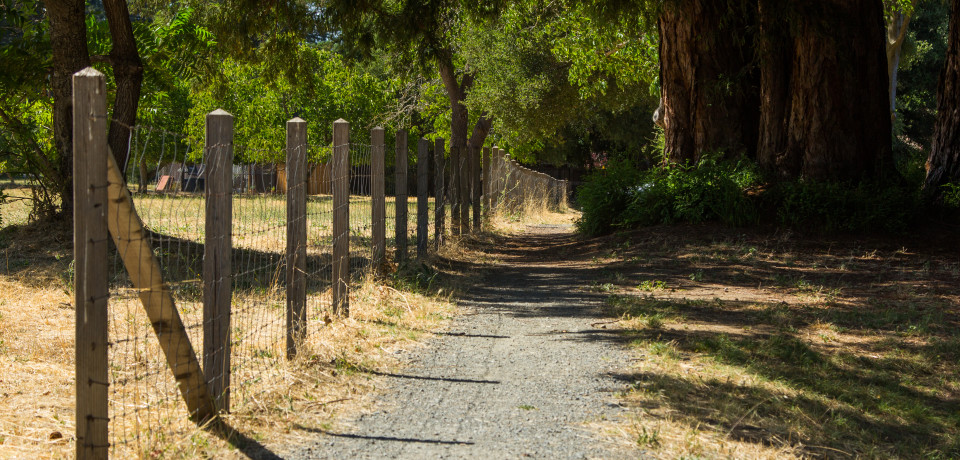 Portola Valley